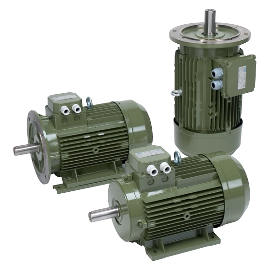 SAER MT4-MTS4 Погружные насосы